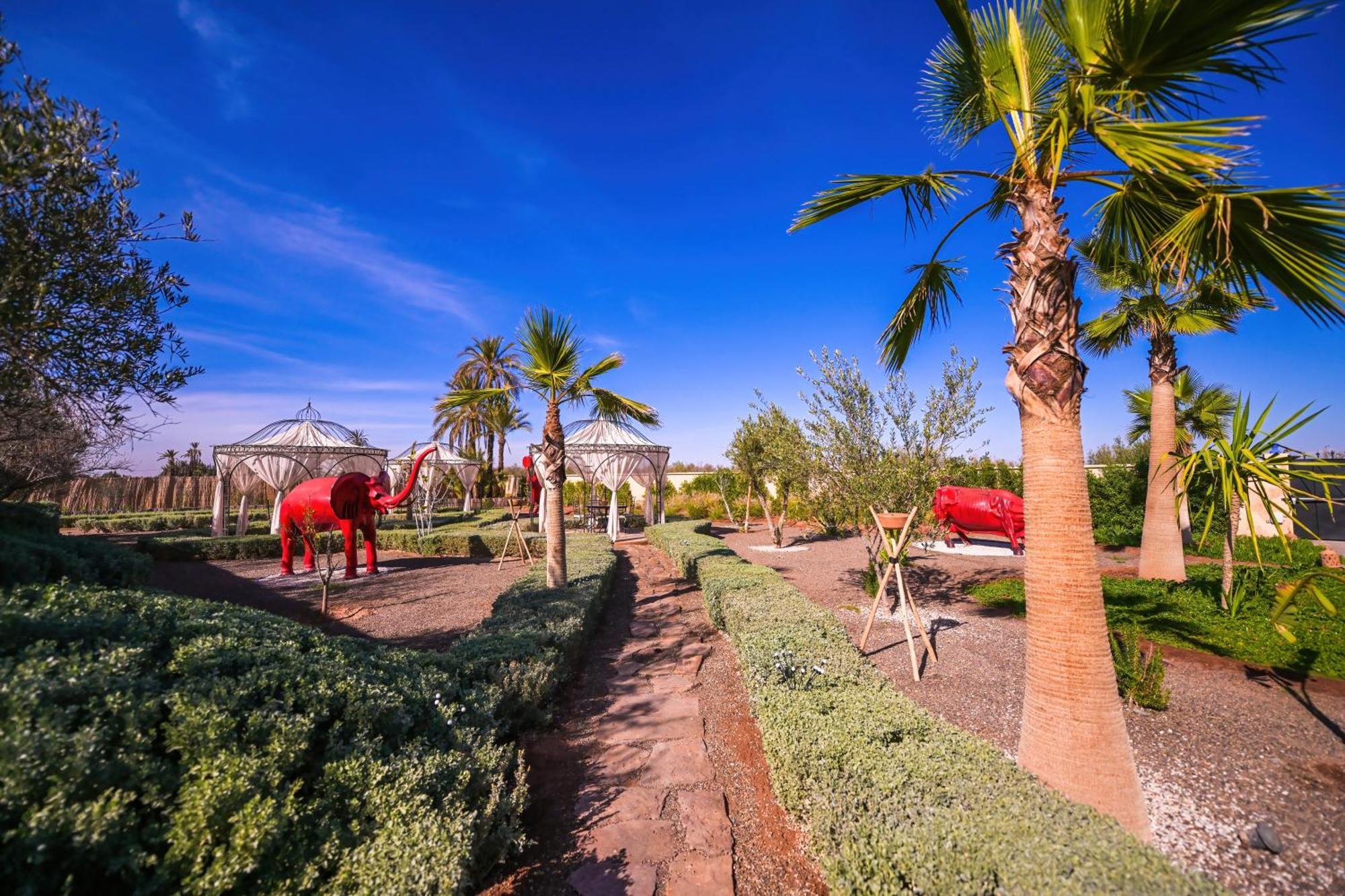 Maison Daouia Ouled Jelal Esterno foto